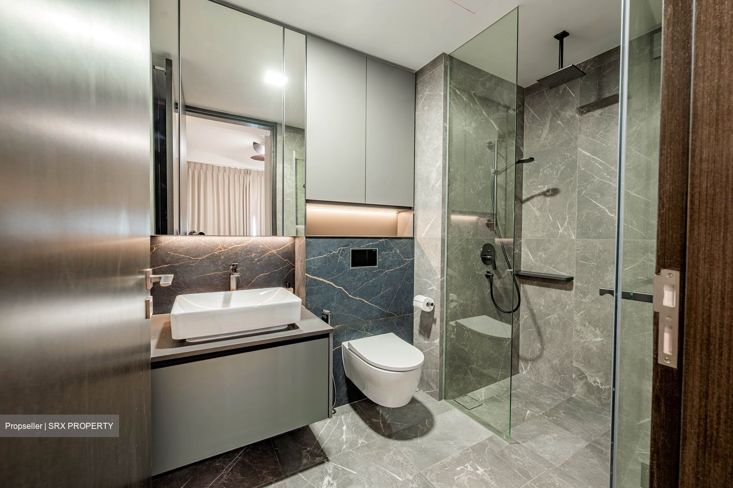 Irwell Hill Residences (D9), Apartment #585012871